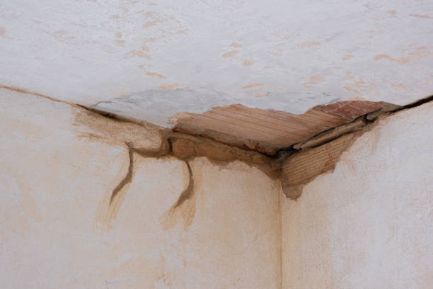 Best Emergency water damage restoration  in El Jebel, CO