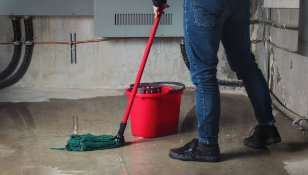 Best Carpet water damage restoration  in El Jebel, CO