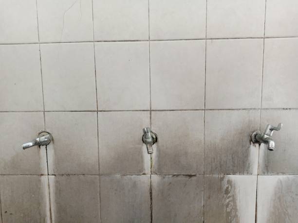 El Jebel, CO Water damage restoration Company